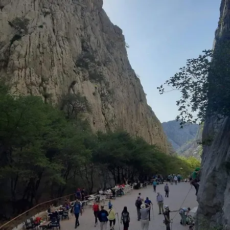 Gropa アパート *