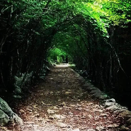 Gropa アパート *