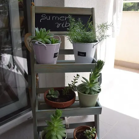Apartment Gropa *