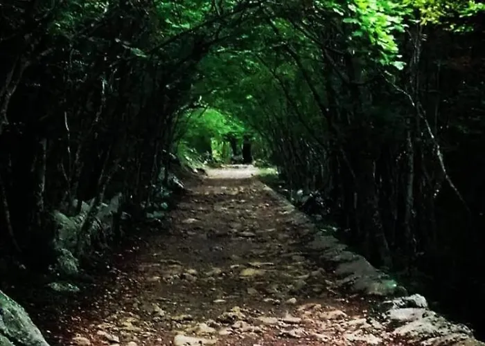 Gropa Апартаменты *